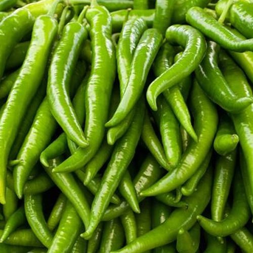 green-chilly-1