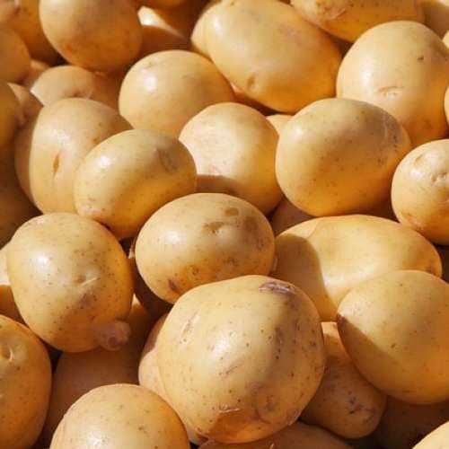 potato-1